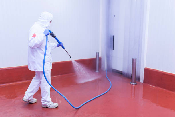 Professional Pressure Washing in Pine Lake Park, NJ