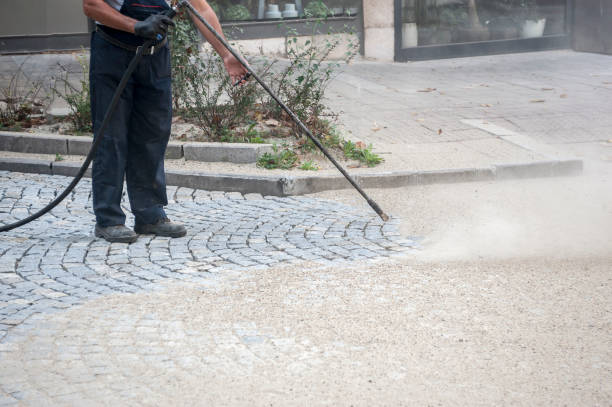 Animal Enclosure Cleaning in Pine Lake Park, NJ
